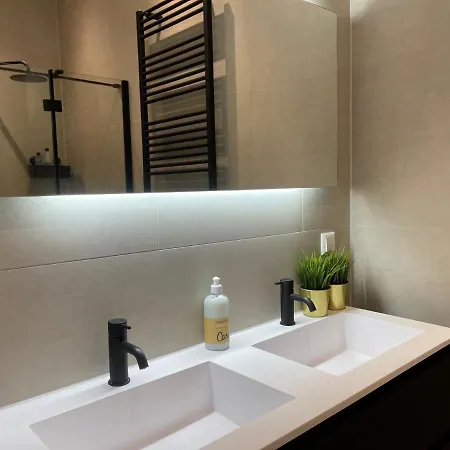アパート Golden 1 Bedroom 40m2 -ss177g- ロッテルダム